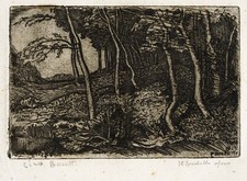 BOZZETTI CINO   IL BOSCHETTO