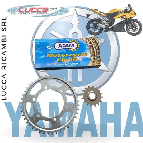 1270248 kit trasmissione afam - 1270248,