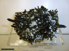 Epidoto della miniera di San Felipe, Gran Chimu, La Libertad Perù #1