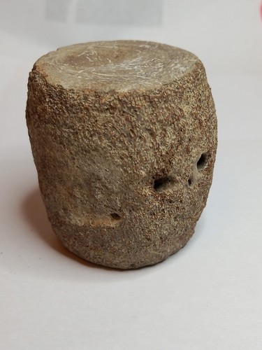 Fossile presumo di vertebra - ,,