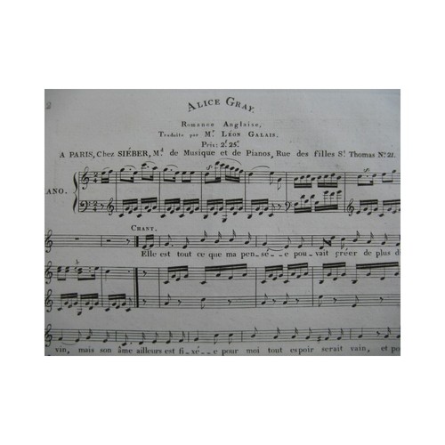 Alice grigia romanzo - alice,