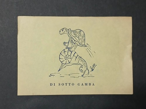 Palio siena tartuca - palio,