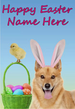 Biglietto Auguri Pasqua