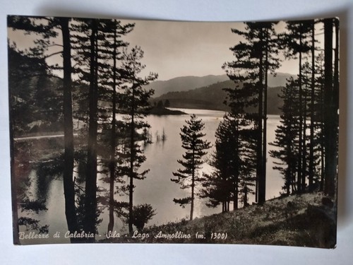 Cartolina lago ampollino - cartolina,