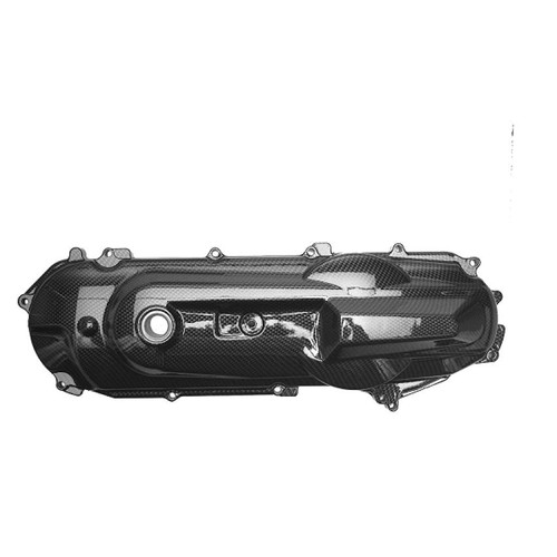 289050 copri carter - carter, variatore