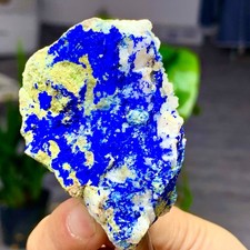 119G MIGLIORI esemplari di