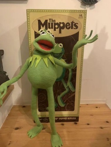 Disney muppets kermit rana - kermit,