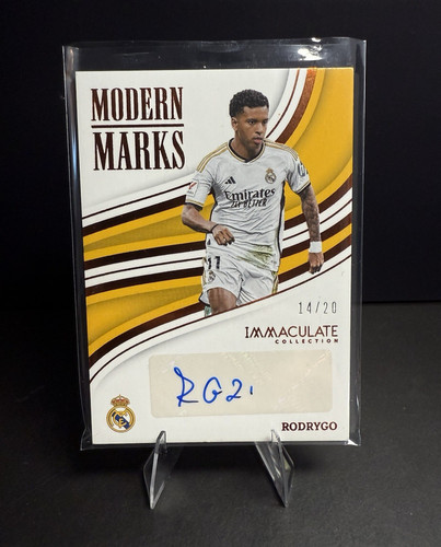 Panini immacolata 2023 - immacolata, 2023-24