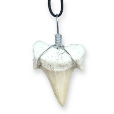 Ciondolo dente squalo - di,