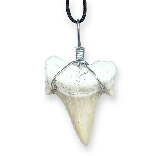 Ciondolo dente squalo - dente,