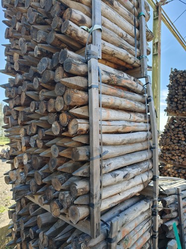 Paletti legno castagno - paletti, di