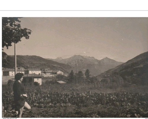 16178 fotografia vintage - 16178.,