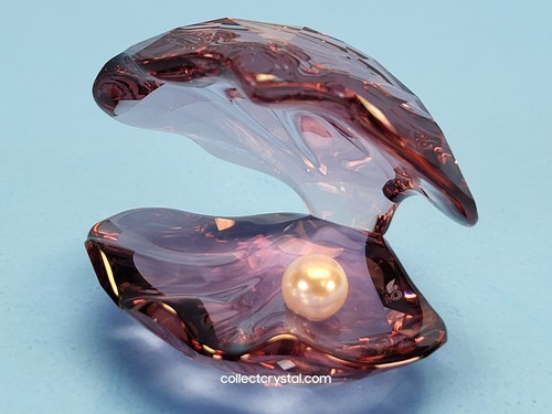 Swarovski 5035512 guscio - #, di