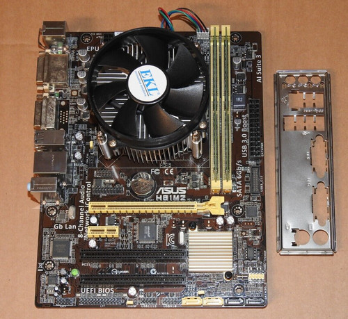 Pacchetto scheda madre asus - scheda,