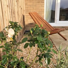 vidaXL 45975 Sedie da Giardino