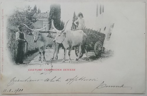 Cartolina costumi campagna - cartolina,