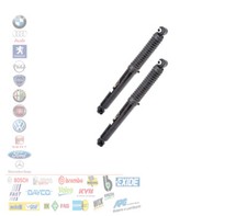 COPPIA AMMORTIZZATORI