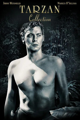 The tarzan collection starring - tarzan,