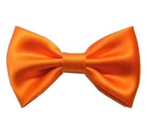 Papillon bimbo arancione - papillon,