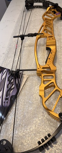 Hoyt invicta oro r - oro,