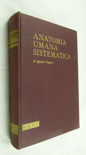 FAZZARI ANATOMIA UMANA