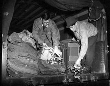 Emergency landing of a US Army