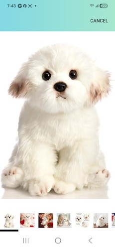 Hollyhome peluche maltese - hollyhome,