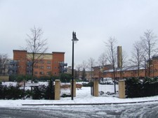 PHOTO  CALYPSO IN THE SNOW