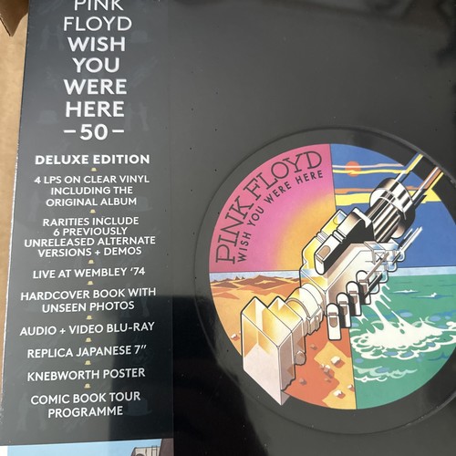 Pink floyd wish you - you, were