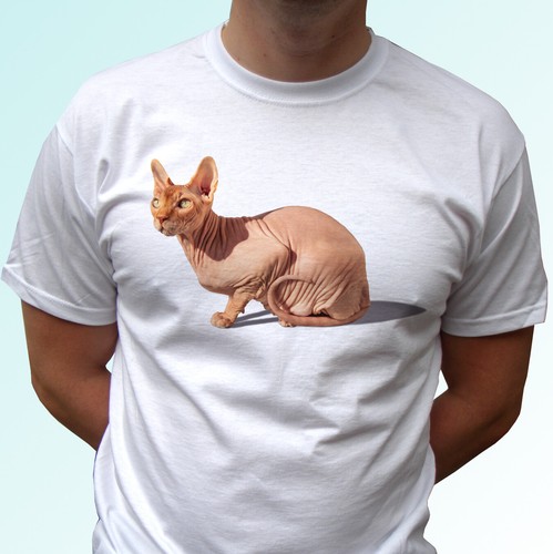 Shirt bianca cat sphynx - bianca,
