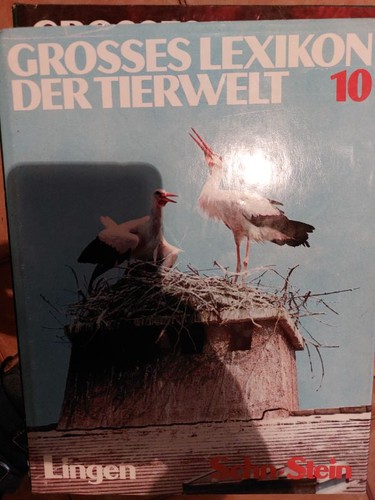 Lingen verlag dizionario - lingen,