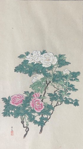 Peonia fiore nanbara - fiore,