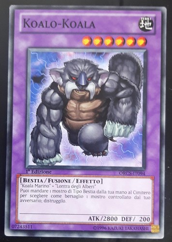 Koalo koala italiano - ,