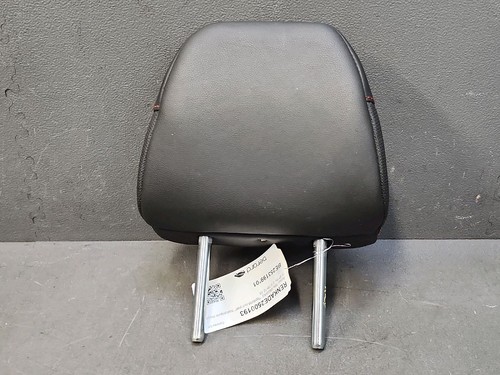 Domina testa posteriore destra - domina,