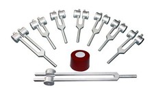 🌟 Set Di 8 Forche Di