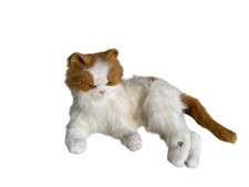 Giocattolo interattivo