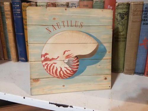 Nautilus conchiglia arte