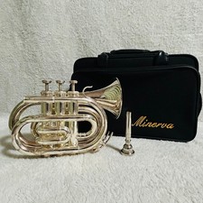 Strumento musicale a tromba