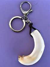 PORTACHIAVI CON ZANNA DI CINGHIALE