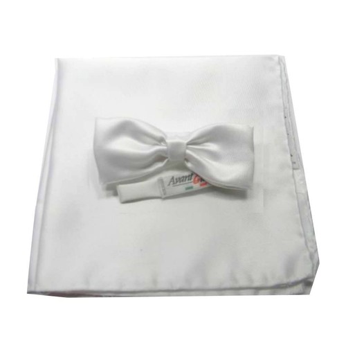 Papillon bianco farfalla - papillon,