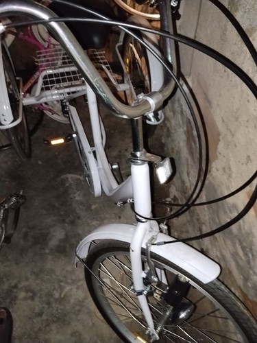 Bicicletta triciclo per adulti - bicicletta,