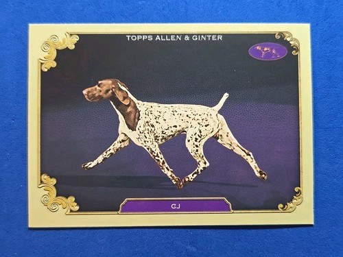 2024 topps allen ginter - 2024,
