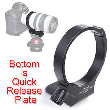 Nuovo anello supporto