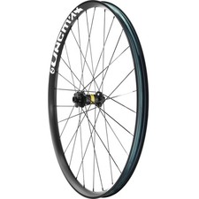 Ruota anteriore Mavic E-Deemax DH 30 29" 20x110mm - disco 6 bulloni - downhill hu