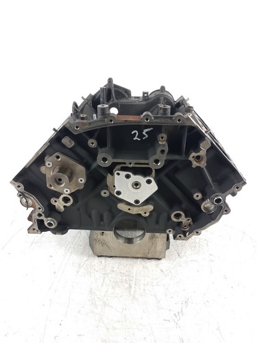 Blocco motore difettoso - , vw