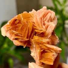 37G Grappolo di Mica Naturale Bellissimo con Cristallo di Quarzo Esemplare Minerale