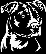 Adesivo AMERICAN STAFFORDSHIRE