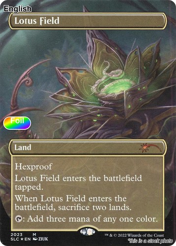 Lotus field slc 2023 - field,
