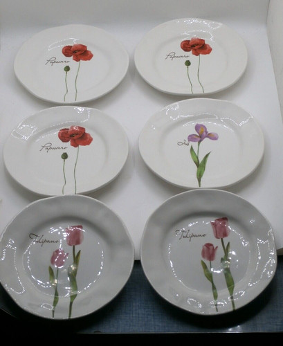 Set piatti insalata floreale