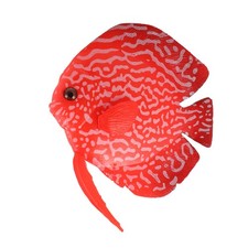  Pesci Finti Per Acquario